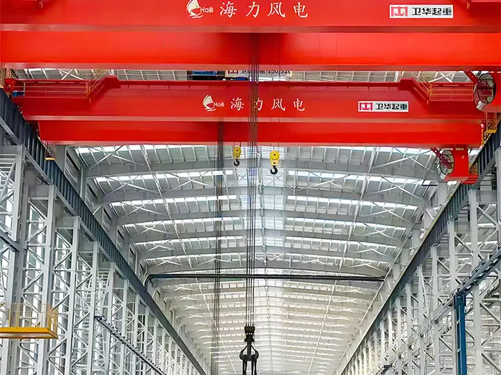 European double bridge crane
