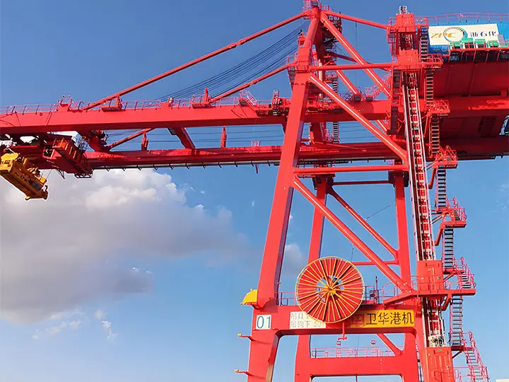 sts crane