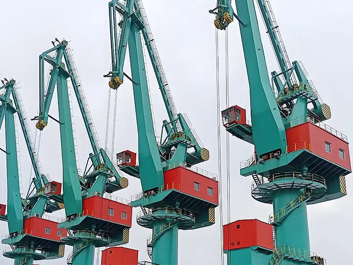Dock Portal Slewing Crane