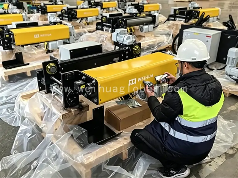 fem-standard-electric-hoist-shock-resistant-dustproof-design-2