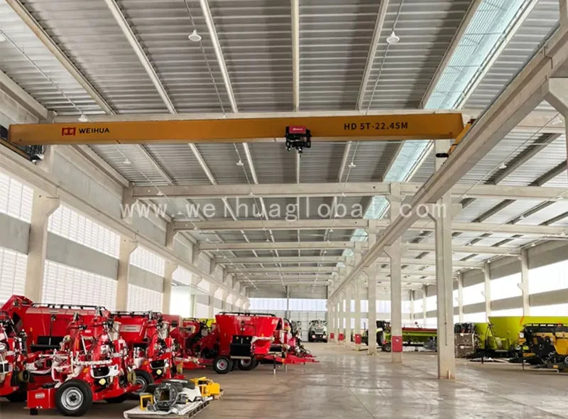 fem-standard-single-girder-overhead-crane-exported-to Brazil-4