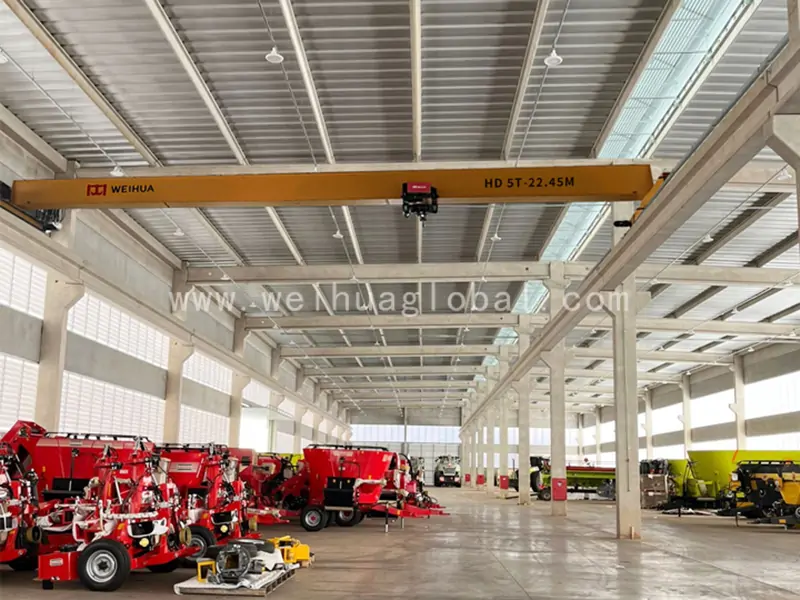 fem-standard-single-girder-overhead-crane-exported-to Brazil-4