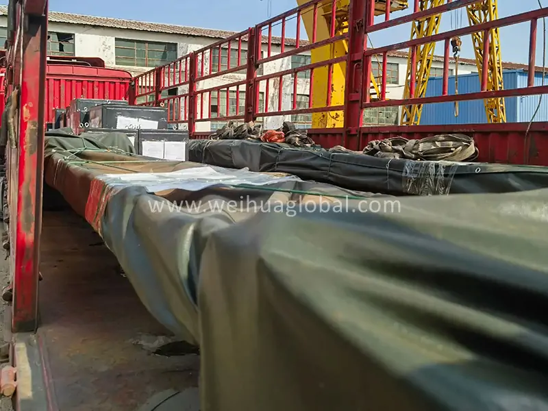 30-ton-explosion-proof-overhead-crane-mexico (3)