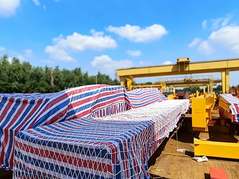 50-ton-double-girder-gantry-crane (5)
